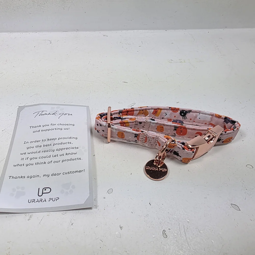 Urban Outfitters Light Pink Pumpkin Print Collar with Rose Gold Hardware